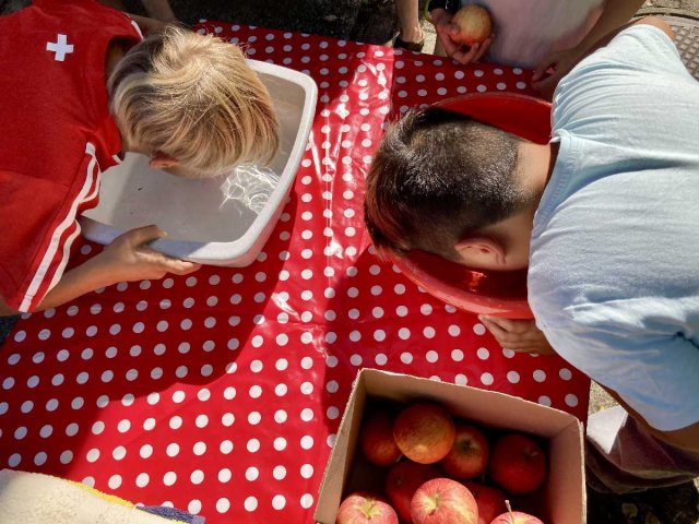 22_Schwimmender_Apfel_l
