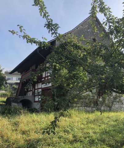 33_Rund_ums_Museum_c