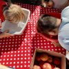 22_Schwimmender_Apfel_l