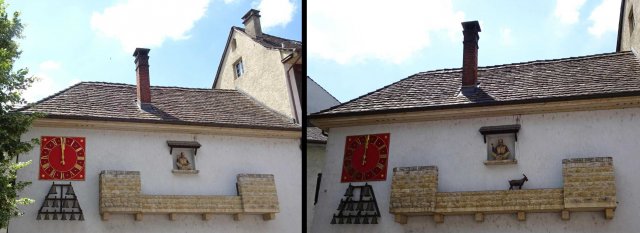 DSC02767_68_Schneider_Geissbock_kl