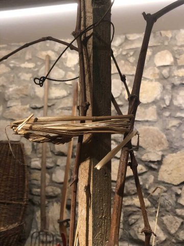 Weinbaumuseum Tegerfelden