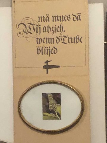 Weinbaumuseum Tegerfelden